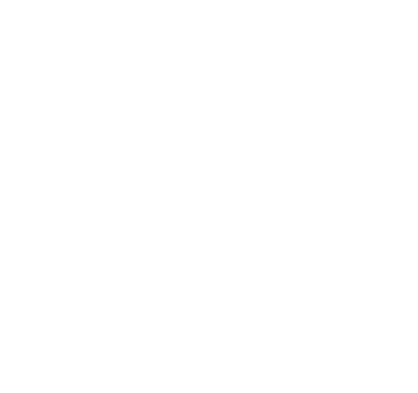 SONKO Consulting
